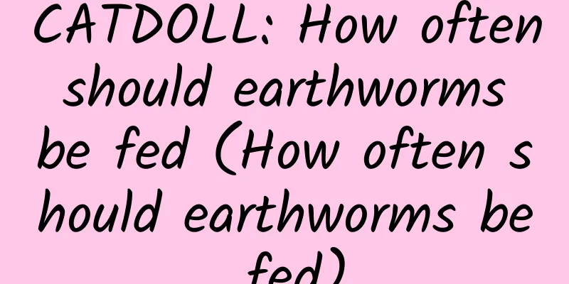 CATDOLL: How often should earthworms be fed (How often should earthworms be fed)