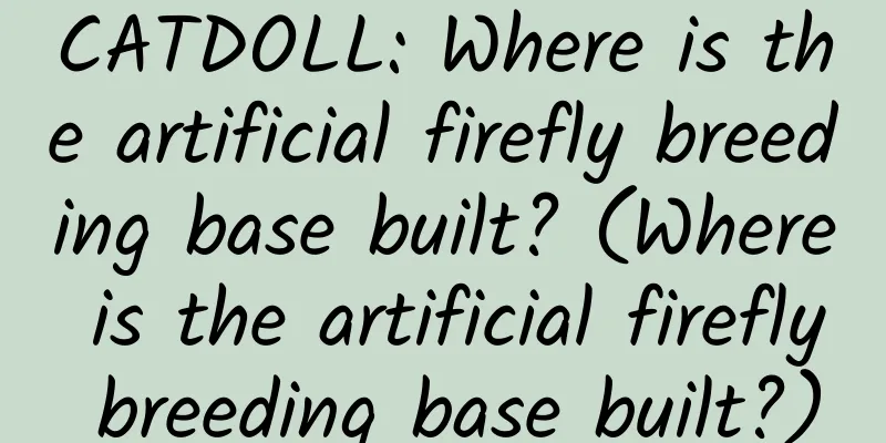 CATDOLL: Where is the artificial firefly breeding base built? (Where is the artificial firefly breeding base built?)