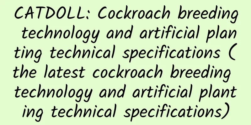 CATDOLL: Cockroach breeding technology and artificial planting technical specifications (the latest cockroach breeding technology and artificial planting technical specifications)