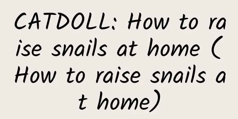CATDOLL: How to raise snails at home (How to raise snails at home)