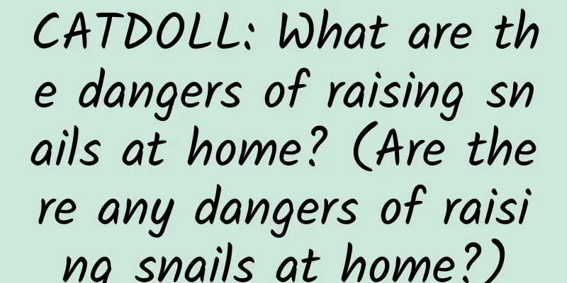 CATDOLL: What are the dangers of raising snails at home? (Are there any dangers of raising snails at home?)