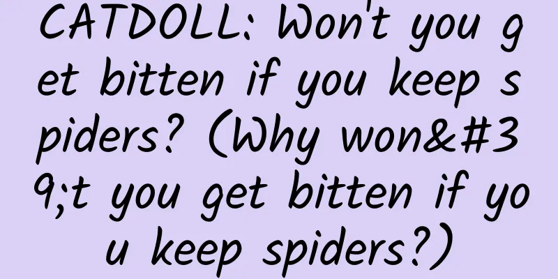CATDOLL: Won't you get bitten if you keep spiders? (Why won't you get bitten if you keep spiders?)