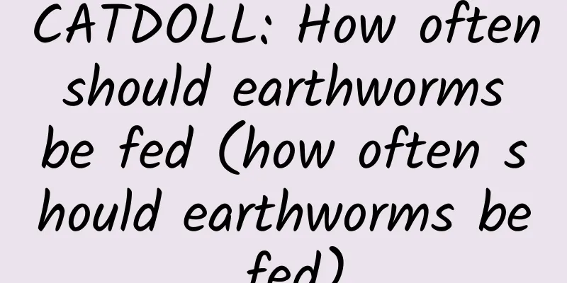 CATDOLL: How often should earthworms be fed (how often should earthworms be fed)