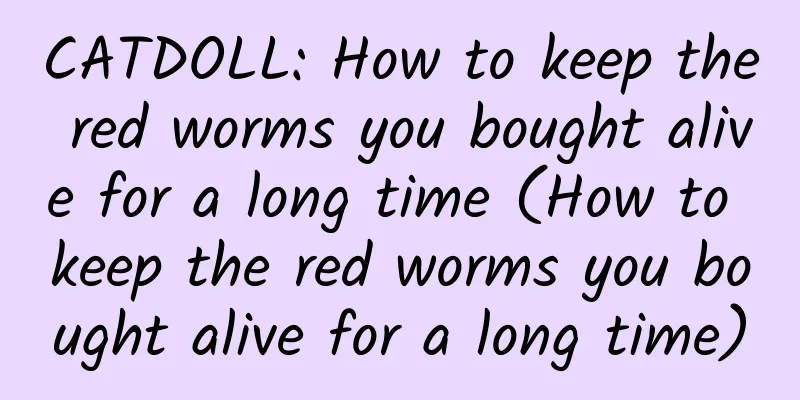 CATDOLL: How to keep the red worms you bought alive for a long time (How to keep the red worms you bought alive for a long time)
