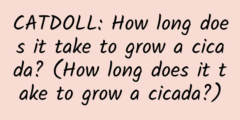 CATDOLL: How long does it take to grow a cicada? (How long does it take to grow a cicada?)