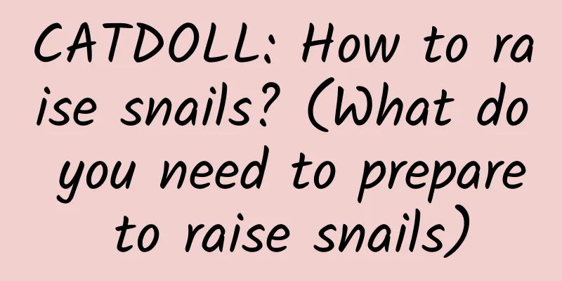 CATDOLL: How to raise snails? (What do you need to prepare to raise snails)