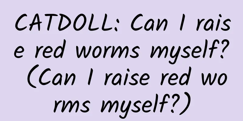 CATDOLL: Can I raise red worms myself? (Can I raise red worms myself?)