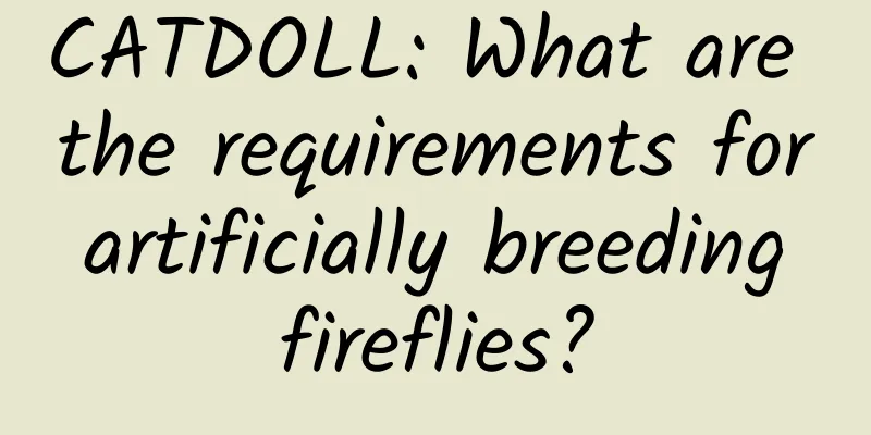 CATDOLL: What are the requirements for artificially breeding fireflies?