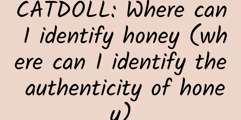 CATDOLL: Where can I identify honey (where can I identify the authenticity of honey)