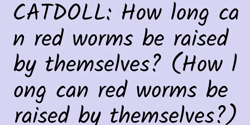 CATDOLL: How long can red worms be raised by themselves? (How long can red worms be raised by themselves?)