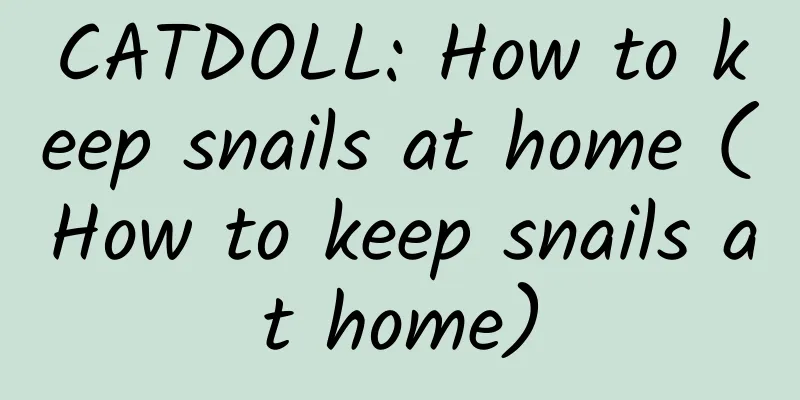 CATDOLL: How to keep snails at home (How to keep snails at home)