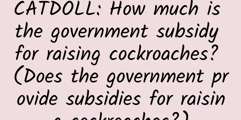 CATDOLL: How much is the government subsidy for raising cockroaches? (Does the government provide subsidies for raising cockroaches?)