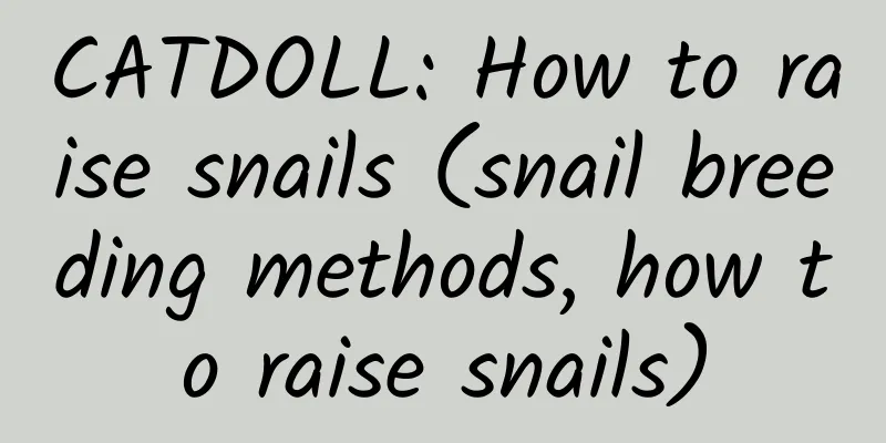 CATDOLL: How to raise snails (snail breeding methods, how to raise snails)