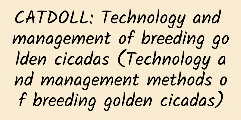 CATDOLL: Technology and management of breeding golden cicadas (Technology and management methods of breeding golden cicadas)