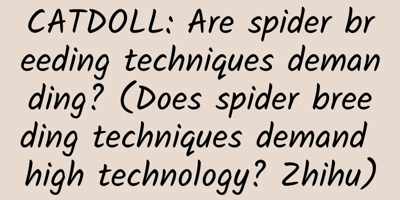 CATDOLL: Are spider breeding techniques demanding? (Does spider breeding techniques demand high technology? Zhihu)