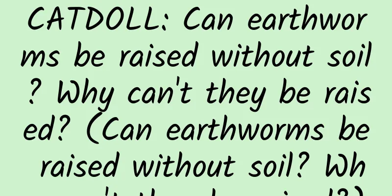 CATDOLL: Can earthworms be raised without soil? Why can't they be raised? (Can earthworms be raised without soil? Why can't they be raised?)