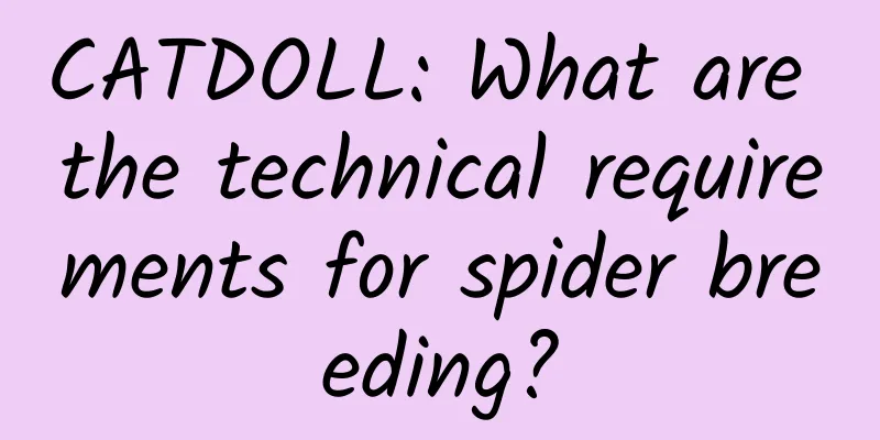 CATDOLL: What are the technical requirements for spider breeding?