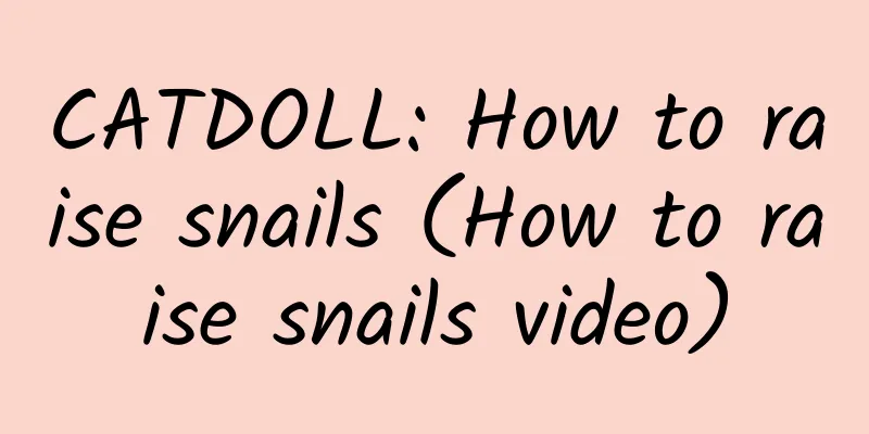 CATDOLL: How to raise snails (How to raise snails video)