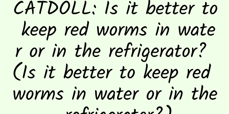CATDOLL: Is it better to keep red worms in water or in the refrigerator? (Is it better to keep red worms in water or in the refrigerator?)