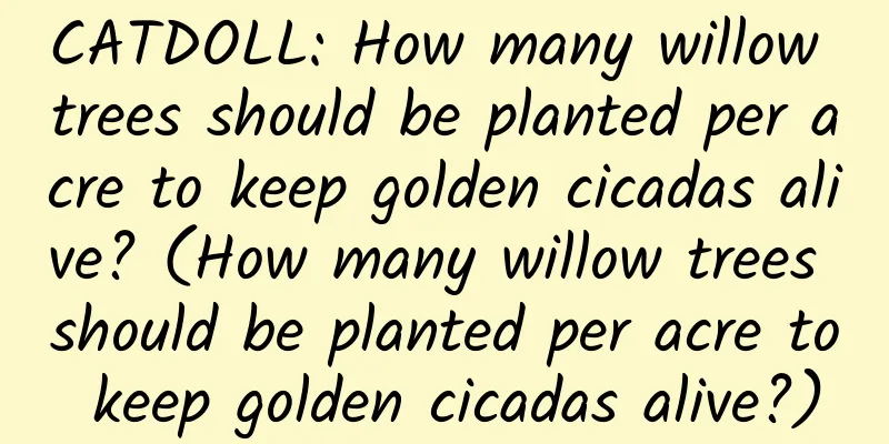 CATDOLL: How many willow trees should be planted per acre to keep golden cicadas alive? (How many willow trees should be planted per acre to keep golden cicadas alive?)