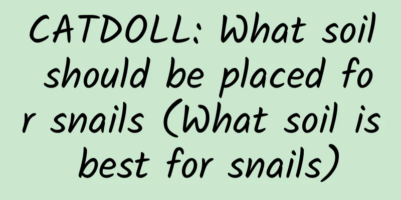 CATDOLL: What soil should be placed for snails (What soil is best for snails)
