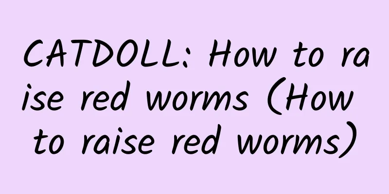 CATDOLL: How to raise red worms (How to raise red worms)