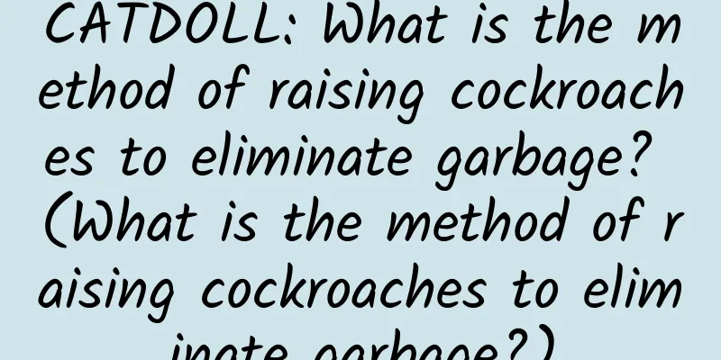 CATDOLL: What is the method of raising cockroaches to eliminate garbage? (What is the method of raising cockroaches to eliminate garbage?)