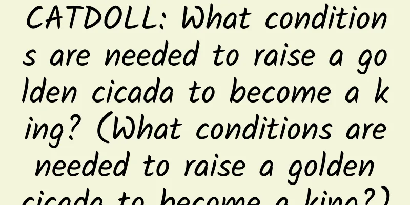 CATDOLL: What conditions are needed to raise a golden cicada to become a king? (What conditions are needed to raise a golden cicada to become a king?)
