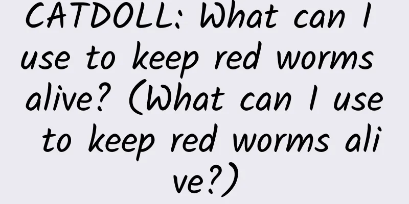 CATDOLL: What can I use to keep red worms alive? (What can I use to keep red worms alive?)