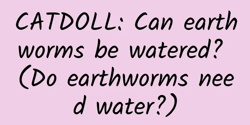 CATDOLL: Can earthworms be watered? (Do earthworms need water?)