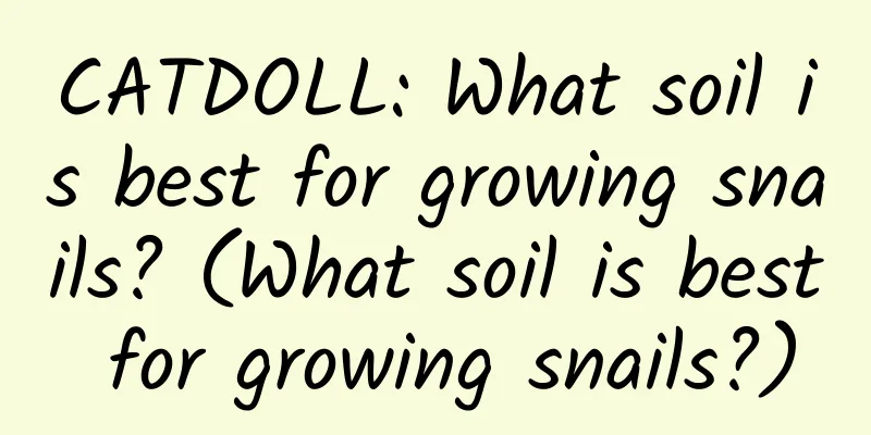 CATDOLL: What soil is best for growing snails? (What soil is best for growing snails?)