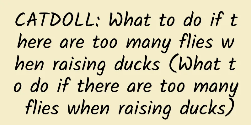 CATDOLL: What to do if there are too many flies when raising ducks (What to do if there are too many flies when raising ducks)