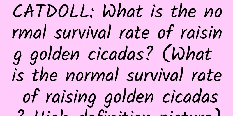 CATDOLL: What is the normal survival rate of raising golden cicadas? (What is the normal survival rate of raising golden cicadas? High-definition picture)