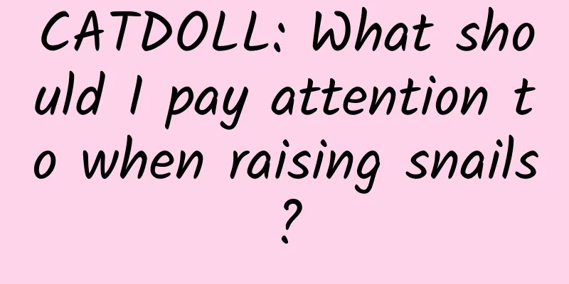 CATDOLL: What should I pay attention to when raising snails?