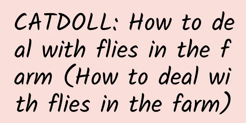 CATDOLL: How to deal with flies in the farm (How to deal with flies in the farm)