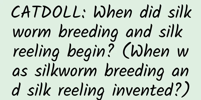 CATDOLL: When did silkworm breeding and silk reeling begin? (When was silkworm breeding and silk reeling invented?)