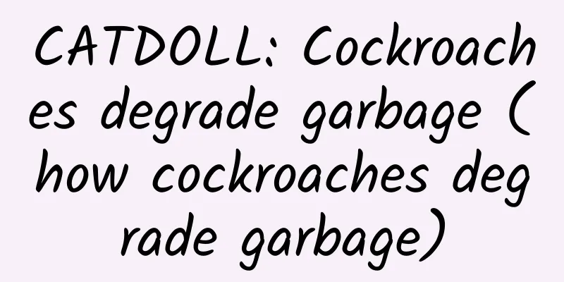 CATDOLL: Cockroaches degrade garbage (how cockroaches degrade garbage)