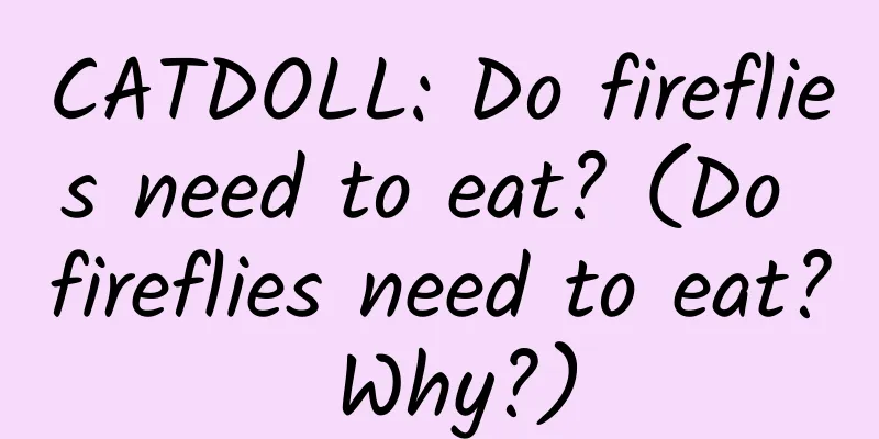 CATDOLL: Do fireflies need to eat? (Do fireflies need to eat? Why?)