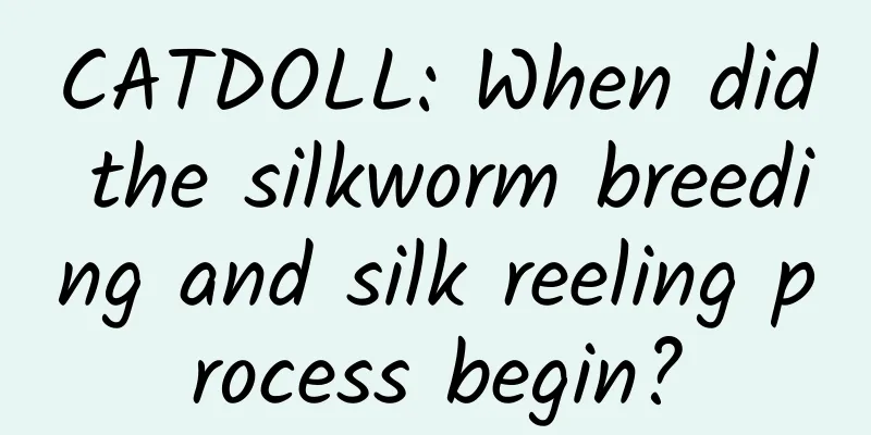 CATDOLL: When did the silkworm breeding and silk reeling process begin?
