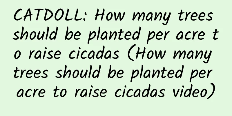 CATDOLL: How many trees should be planted per acre to raise cicadas (How many trees should be planted per acre to raise cicadas video)