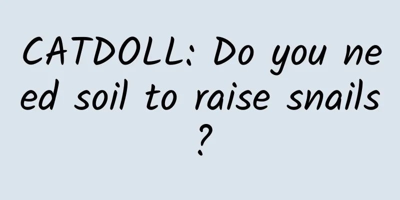 CATDOLL: Do you need soil to raise snails?