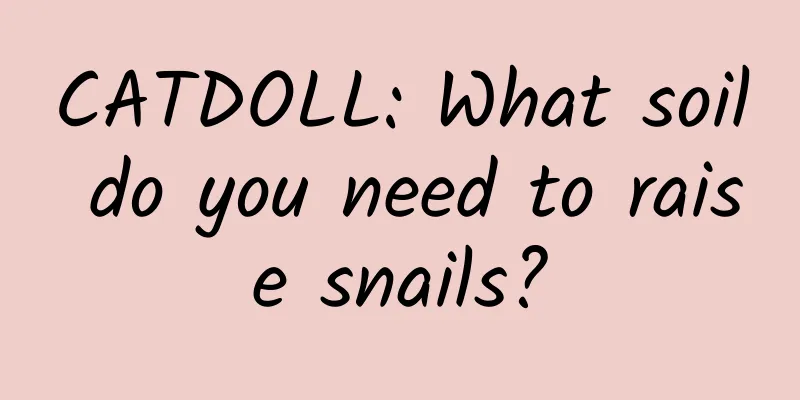 CATDOLL: What soil do you need to raise snails?