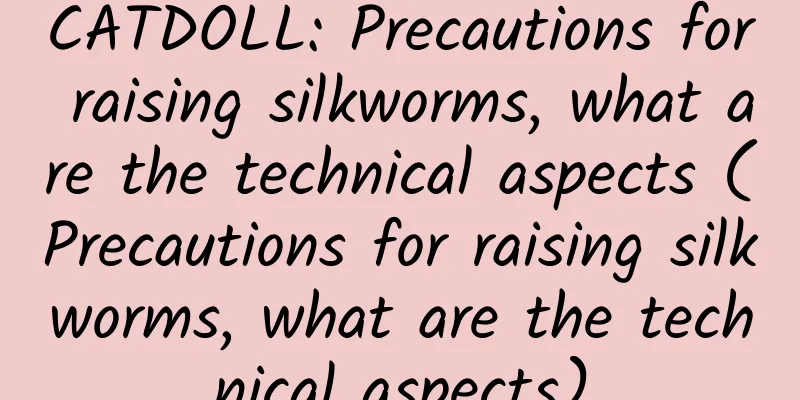 CATDOLL: Precautions for raising silkworms, what are the technical aspects (Precautions for raising silkworms, what are the technical aspects)