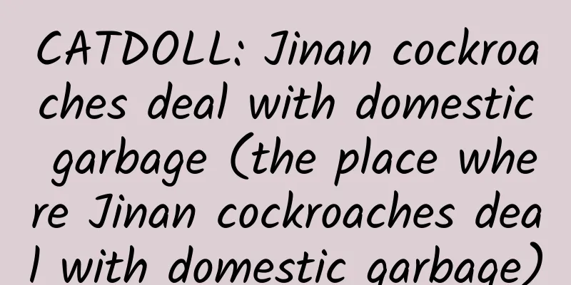 CATDOLL: Jinan cockroaches deal with domestic garbage (the place where Jinan cockroaches deal with domestic garbage)