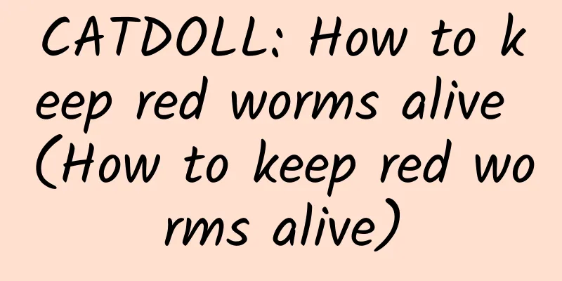CATDOLL: How to keep red worms alive (How to keep red worms alive)