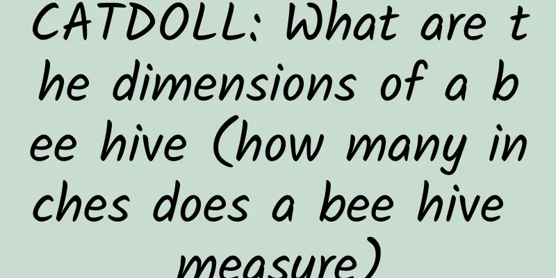 CATDOLL: What are the dimensions of a bee hive (how many inches does a bee hive measure)