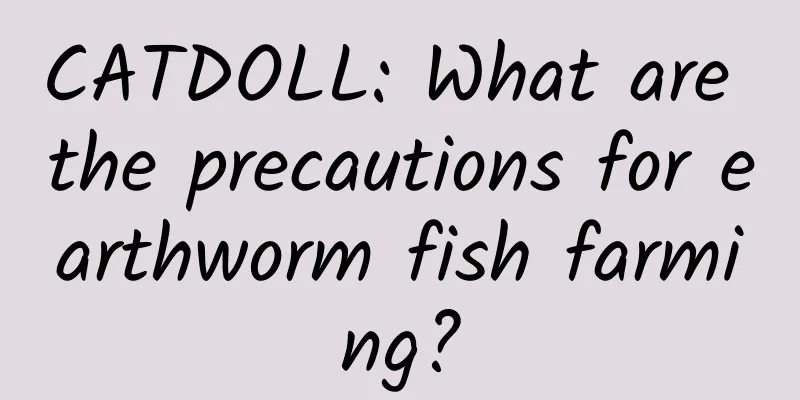 CATDOLL: What are the precautions for earthworm fish farming?