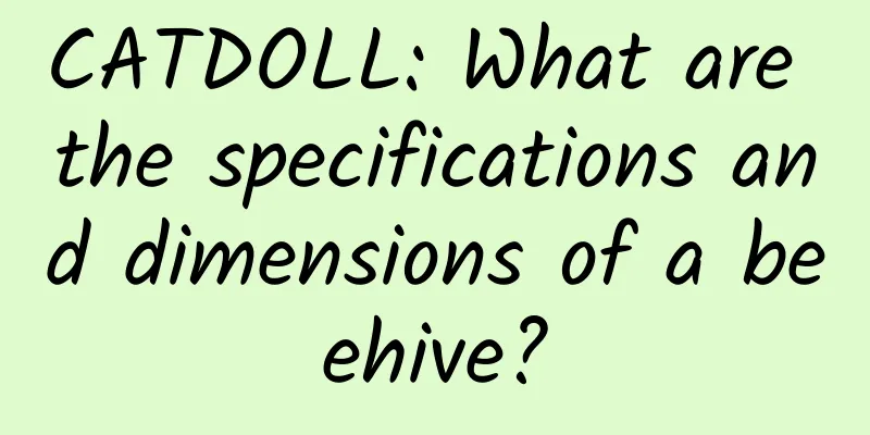 CATDOLL: What are the specifications and dimensions of a beehive?