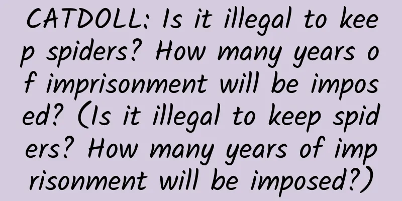 CATDOLL: Is it illegal to keep spiders? How many years of imprisonment will be imposed? (Is it illegal to keep spiders? How many years of imprisonment will be imposed?)