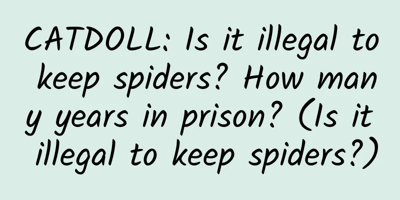 CATDOLL: Is it illegal to keep spiders? How many years in prison? (Is it illegal to keep spiders?)